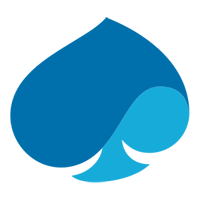 Capgemini icon