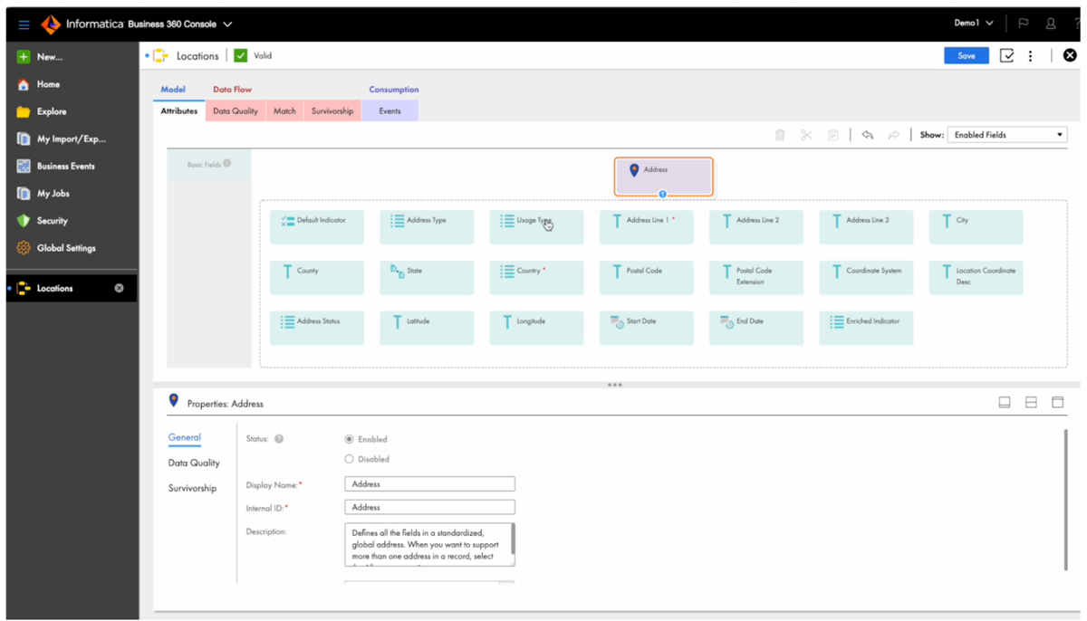 Informatica Multidomain MDM interface.